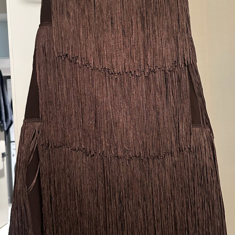 Zara Brown FRINGED STRAPLESS DRESS BNWT - Picture 5 of 7